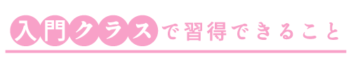入門クラスで習得できること